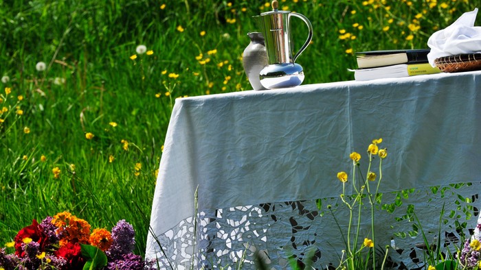 En bord med blomster og en kaffekanner på en grøn eng