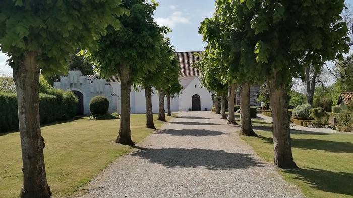 En smuk allé med høje træer og gravelagt sti i en park