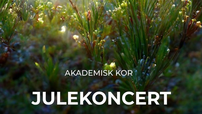 Akademisk Kor Julekoncert - Grønne træer i solskin