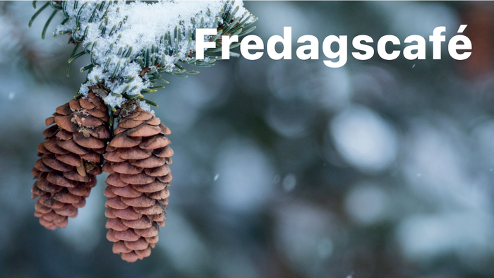 To pineconer hænger på en snefrosset gren