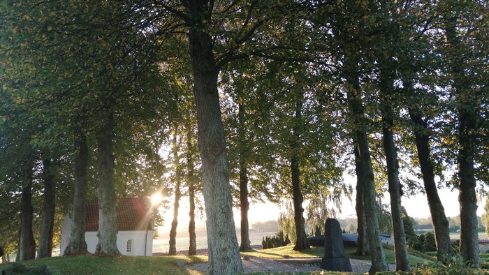 En træalle med græsplæne og en bord.