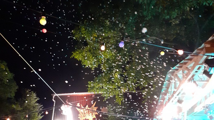 Festliche Party bei Nacht mit bunten Lichtern und Menschen