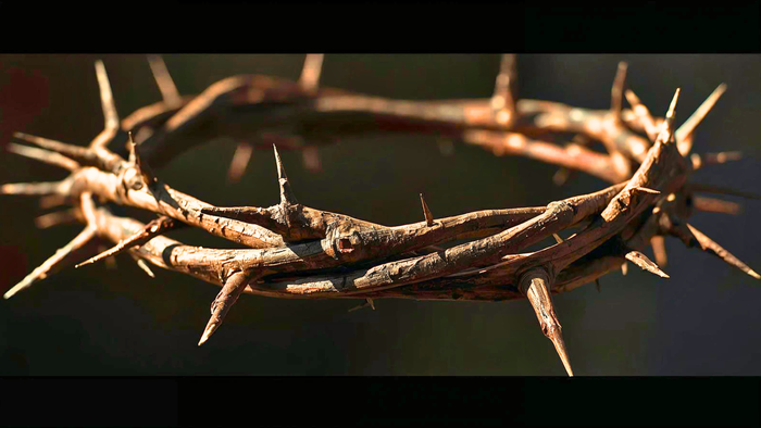 Eine Nahaufnahme einer Dornenkrone aus natürlichen Zweigen, die historische religiöse Bedeutung symbolisiert.