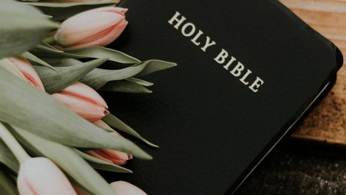 Black Holy Bible with pink tulips on wooden surface