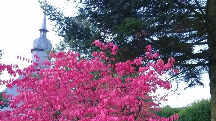 Rote Blätter an einem Baum vor einer weißen Kuppel mit Spitze