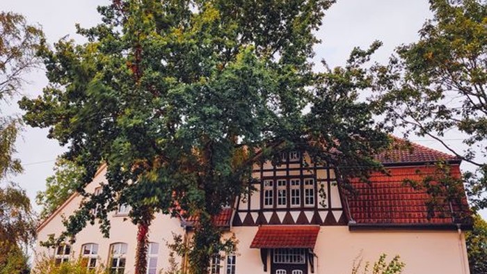 Das Bild zeigt ein charmantes, traditionelles Haus mit einem roten Dach und weißen Wänden, umgeben von üppigen grünen Bäumen und Büschen.