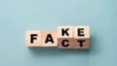 Das Bild zeigt das Wort "FAKE" aus Holzbuchstaben.