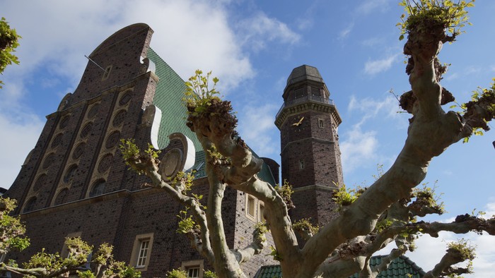 Große Steinkirche mit hohem Turm und Rundbogenfenstern, teilweise von Baumästen verdeckt.