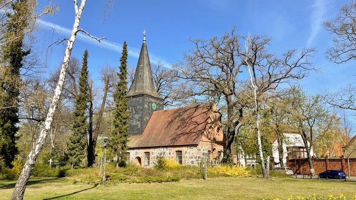 Dorfkirche Alt-Wittenau mit Osterglockenwiese