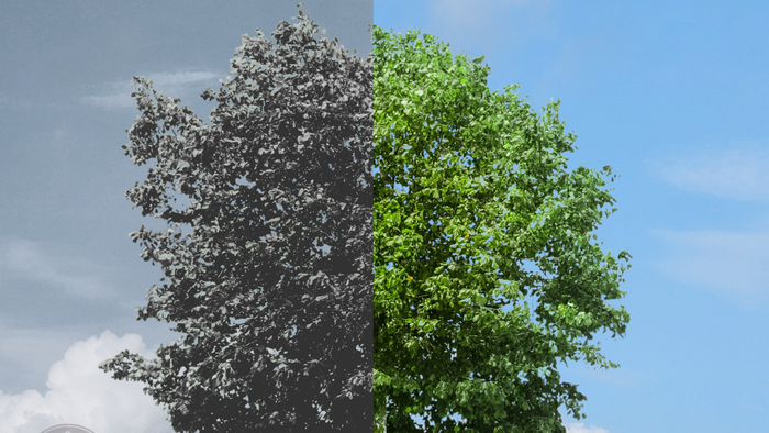 Plakat for arrangementet 