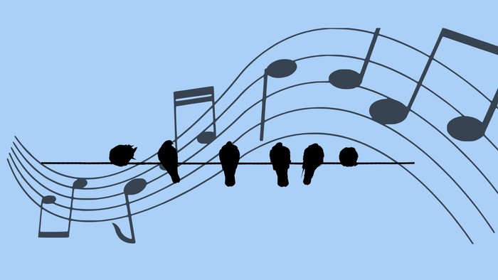 En gruppe fugle sidder på noter på et blåt skyer baggrund