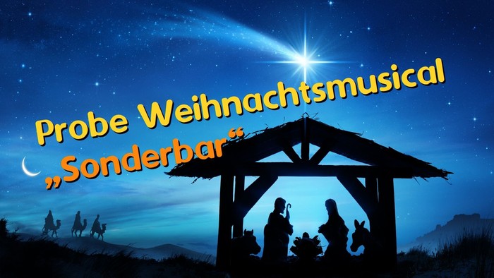 Weihnachtskrippe als Schattenbild bei Nacht mit Stern