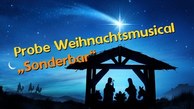 Weihnachtskrippe als Schattenbild bei Nacht mit Stern