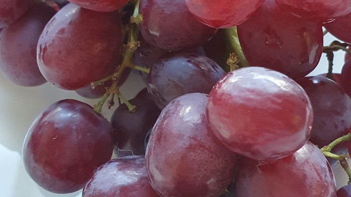 Frische rote und violette Trauben hängen in grünen Stielen zusammen in einer Schale.