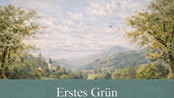 malerische Ansicht eines Dorfes im Grün