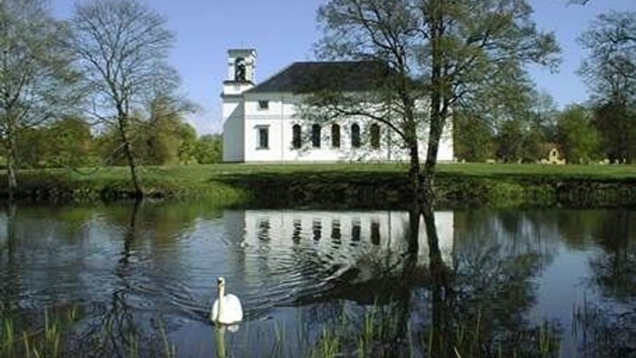 En svane står ved vandet foran et hvidt kirkebygning med tårn.
