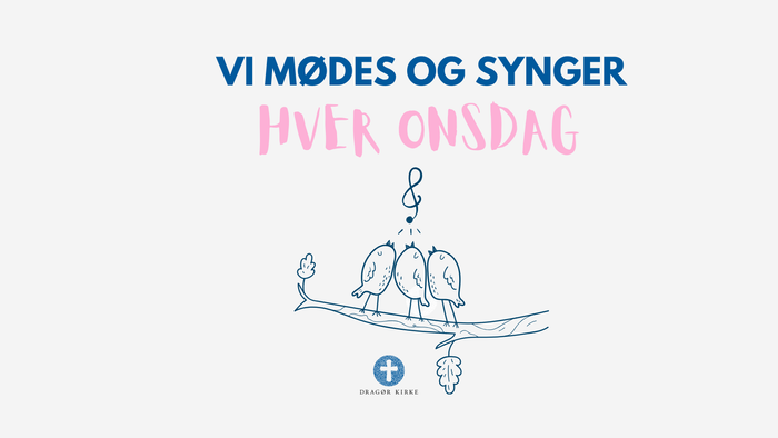 Fire fugle sidder på en gren og synger sammen