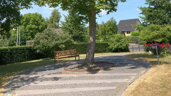 En stor træ med blomster i en park med bænke og hus i baggrunden