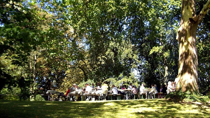 Eine Gruppe von Menschen sitzt unter einem Baum im Freien und isst.