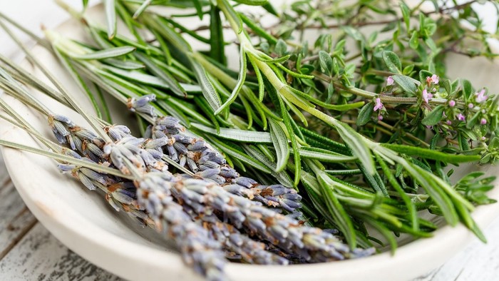 Frische Lavendel- und Rosmarinzweige in einer weißen Schüssel auf einer hellen Holzoberfläche arrangiert.