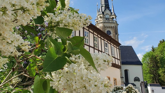 Blühende Bäume vor Kirche mit hohem Turm
