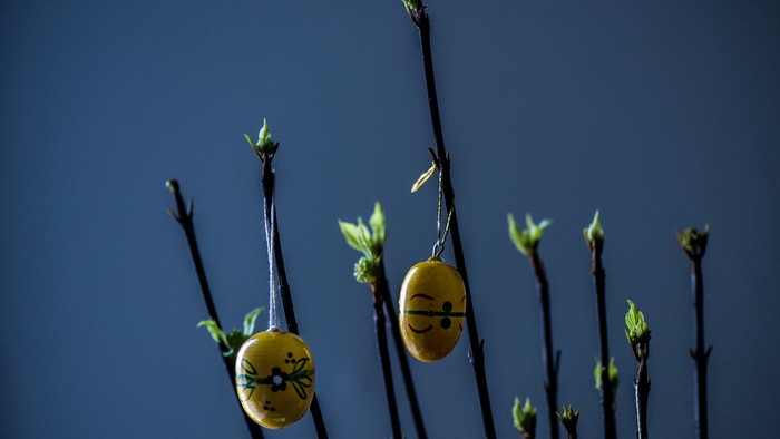 To bær med blomster hænger i træet