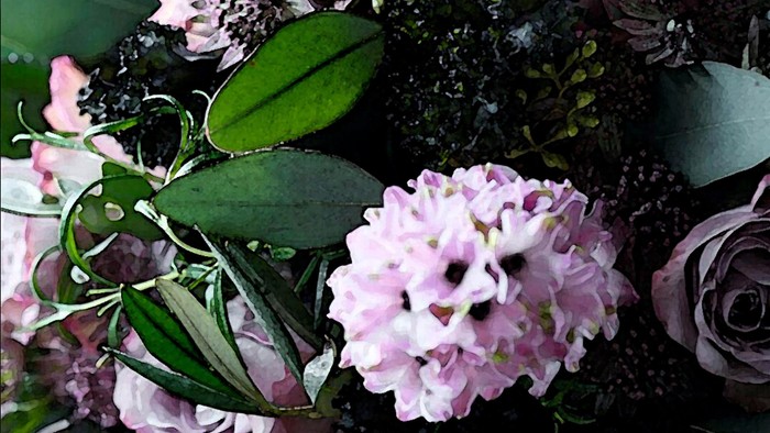 Elegant blomsterarrangement med bløde lyserøde blomster, mørkt løv og sarte hvide roser.