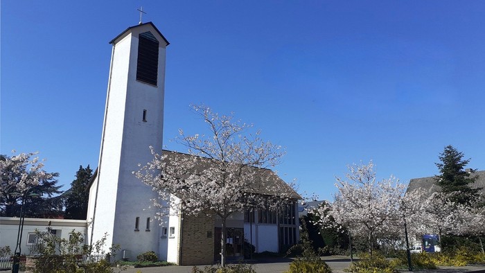 Moderne Kirche mit hohem Glockenturm, umgeben von blühenden Kirschblüten unter klarem blauem Himmel.
