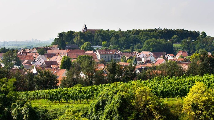 Ein malerisches Dorf mit grünen Weinbergen und einem Kirchturm auf einem Hügel