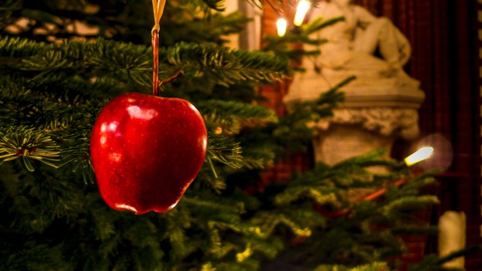 Weihnachtsbaum Schmuck Apfel