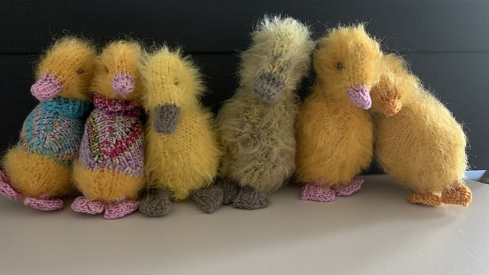 Eine entzückende Sammlung von fünf kuscheligen Entenküken in verschiedenen Farben und Outfits, die zusammen sitzen.