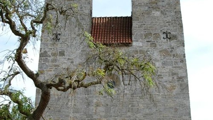 To tårne med klokker og træ foran