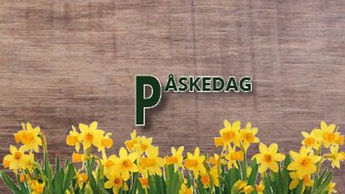 Guldaar med PASKEDAG skilt på trævæg