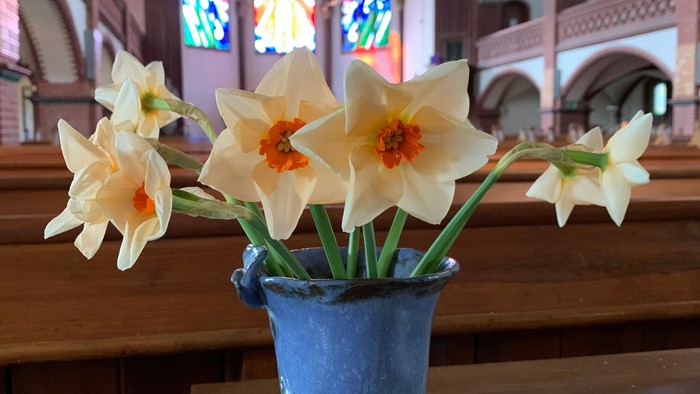 Osterglocken-Strauß im Vorraum der Kirche