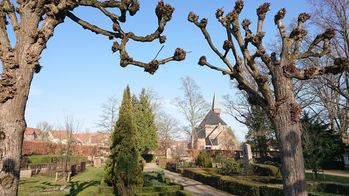 Kirke med tårnspir, omgivet af træer og bygninger, under klarblå himmel.