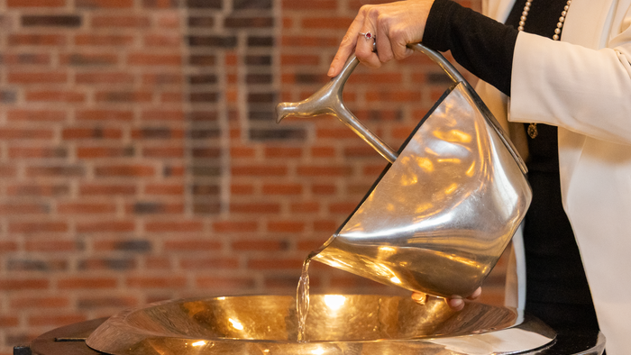 En person hælder væske fra en kande ned i en skål.