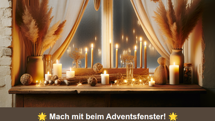Plakat zur Aktion Adventsfenster in Hochfeld-Neudorf: Einladung, vom 1.–24. Dezember abends um 18 Uhr gestaltete Fenster mit Licht, Deko, Musik oder Geschichten zu öffnen. Anmeldung per E-Mail oder Telefon.