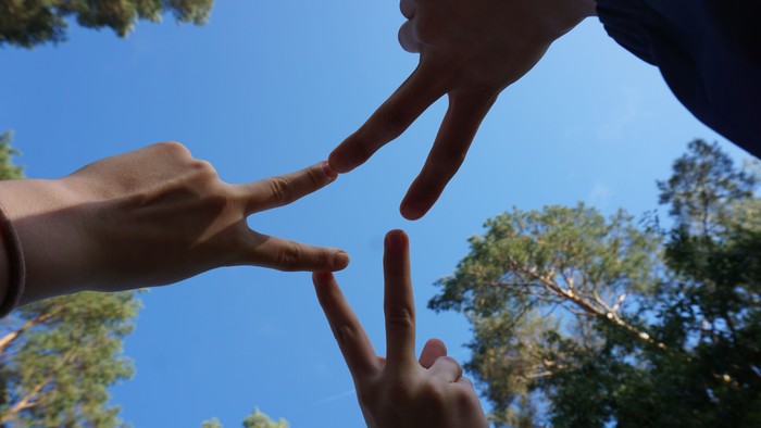 Drei Hände, die sich gegenseitig entgegenstrecken, vor einem blauen Himmel mit Bäumen.
