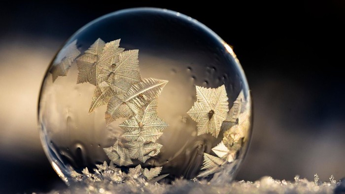 Et tæt billede af en snefnug, der hviler på en overflade, med en uskarp baggrund.