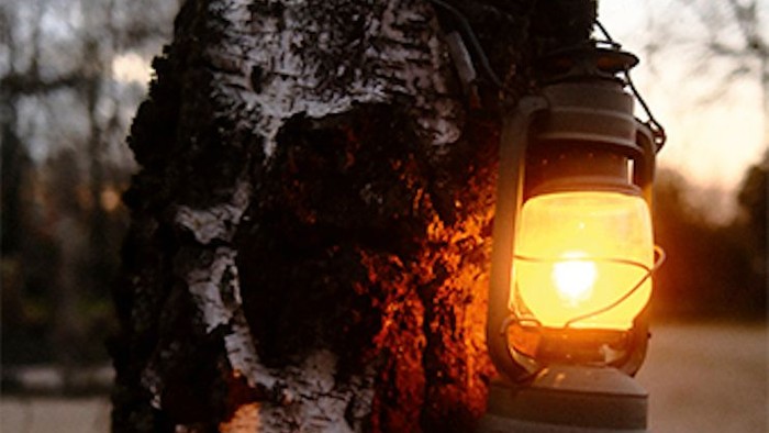 Eine Laterne hängt an einem Baumstamm und wirft ein warmes Licht.