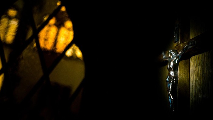 Dunkle Nacht mit beleuchteten Blättern und einer Silhouette