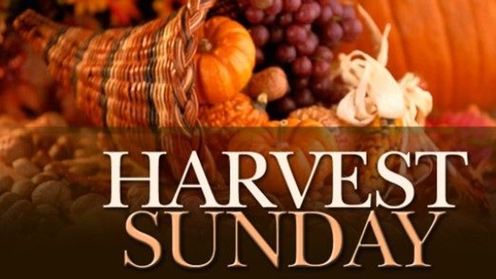 Basket of autumn produce with text 