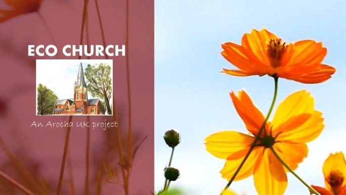 Eco Church project showcasing nature and community activities