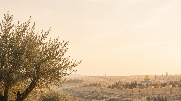 Ein gewundener Feldweg durch eine karge Landschaft mit fernen Hügeln und Olivenbäumen im goldenen Licht.