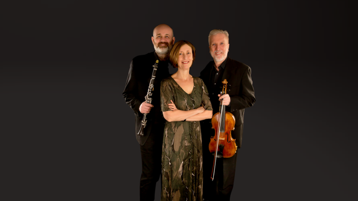 Musikalsk trio optræder til søndagsmatiné med violin, cello og klaver.