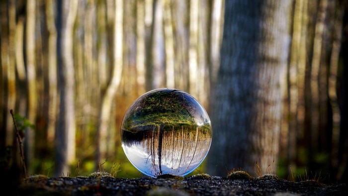 Eine klare Kugel reflektiert den Wald im Freien.