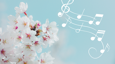 Elegante hvide kirsebærblomster parret med flydende noder på en blød himmelbaggrund.