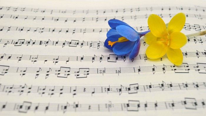 To farverige papirblomster hviler på et nodeark.