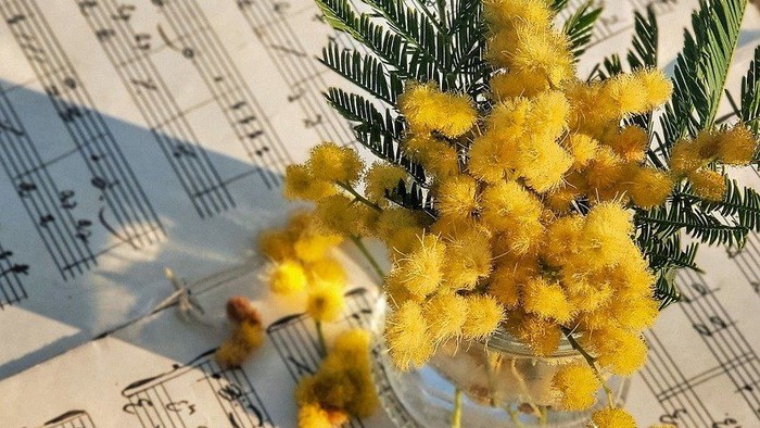 En lille vase med gule blomster på noterblade
