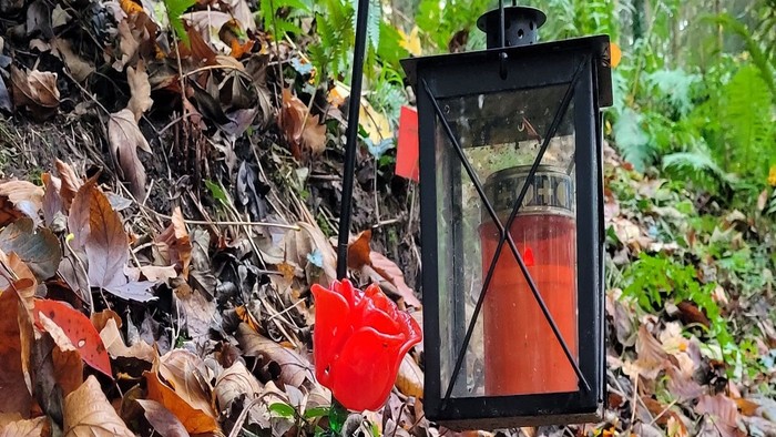 Ein schwarzer Laternenpfahl mit roter Kerze steht in einem Wald mit gefallenen Blättern.